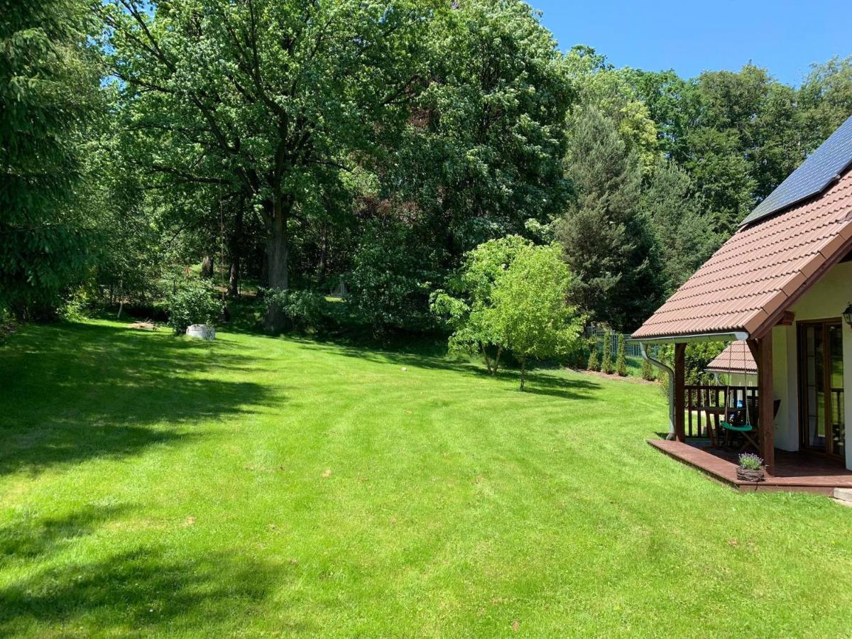 U podnóża Gór Sowich Apartamento Pieszyce Exterior foto