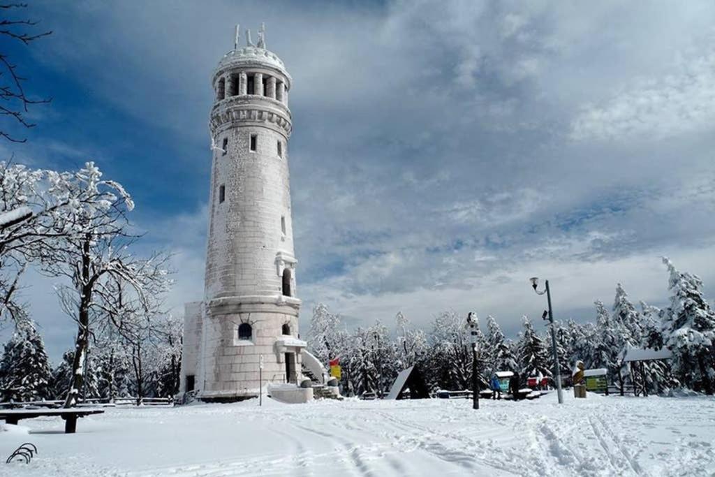 U podnóża Gór Sowich Apartamento Pieszyce Exterior foto